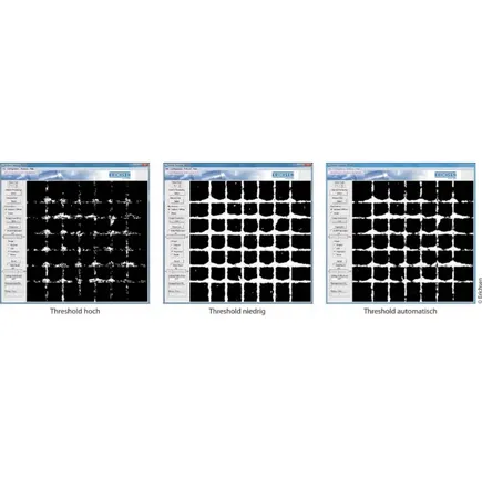 Threshold Ringbeleuchtung Gitterschnittauswertung CrossScan 295